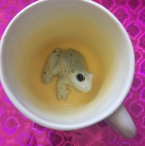 Hello theres a frog in my mug lol 3D